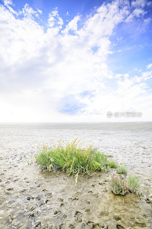 在荷兰北部的瓦登海自然保护区“de Wadden”，有潮汐沙滩的空旷景观